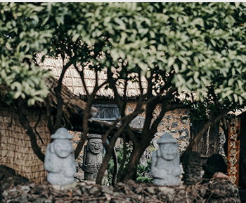 jeju island